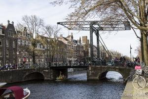 Ponte