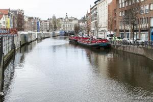 Singel