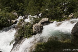 cascata del toce-0035