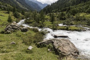 cascata del toce-0038