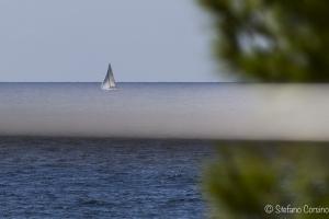 estate 2015-0069