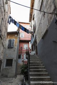 estate 2015-0091