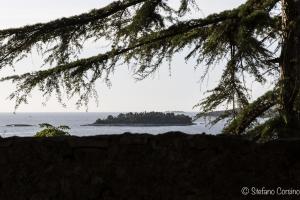 estate 2015-0096