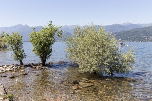 isole borromee 2016-0099