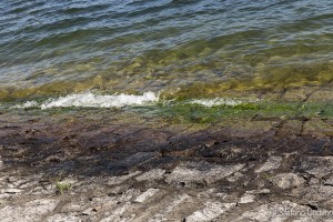 isole borromee 2016-0138