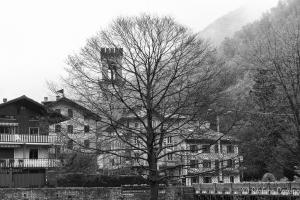 Albero spoglio