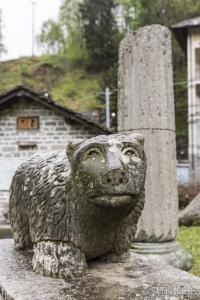 Orso nel giardino