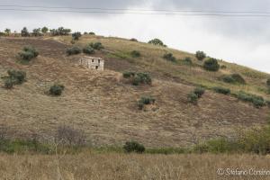 Palermo - Campagna