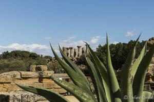 Agrigento - Tempio di Ercole