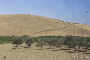 Agrigento - Campagna vista dal treno