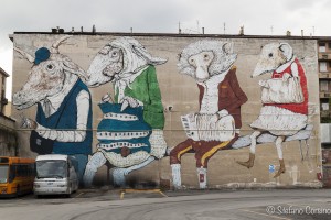 torino raw 1-0322