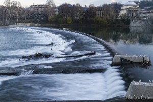 torino raw 1-0380