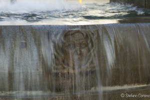 torino raw 1-0387