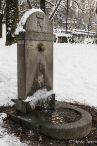 torino raw 1-0429
