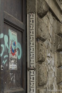 torino raw 1-0443