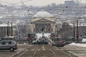 torino raw 1-0453