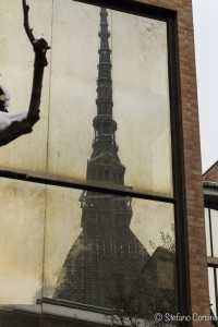 torino raw 1-0463