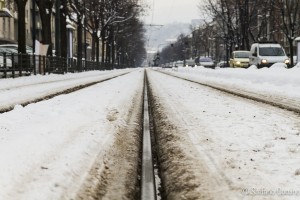 torino raw 1-0464