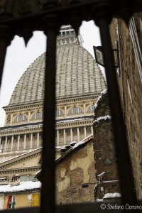 torino raw 1-0471