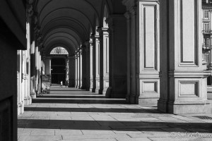 torino raw 1-0482